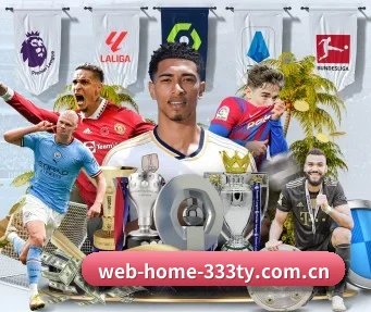 web-home-333ty.com.cn APP